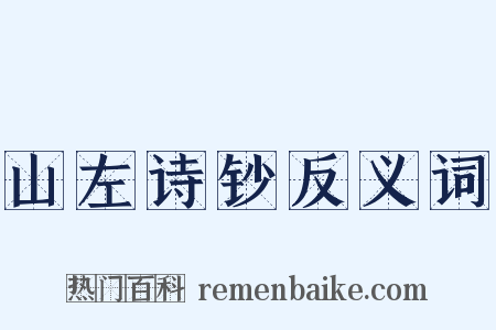 山左诗钞反义词是什么意思的图片